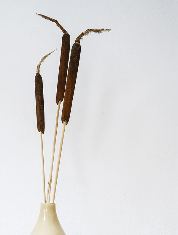 shop-img-1-gallery-2 a